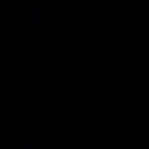 Meet your Posher, Dwight